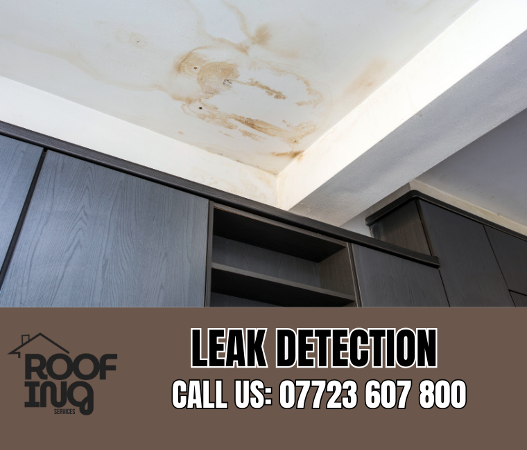 Roof Leak Detection in Bodmin